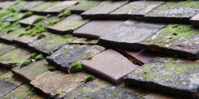 Pleasley roof repair costs